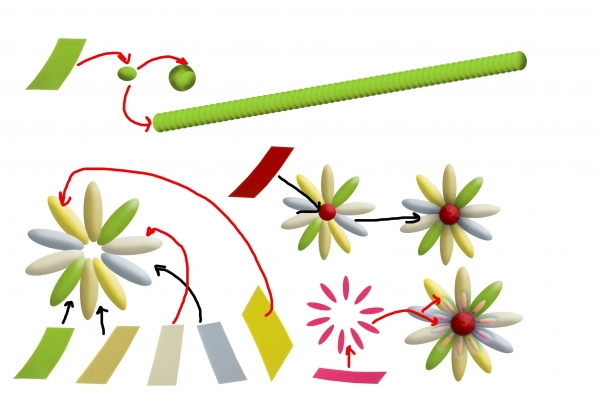 Creation of Plants: Step 8